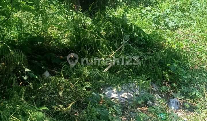 For Sale ******** 5.5 Are Jalan Sempol Pererenan