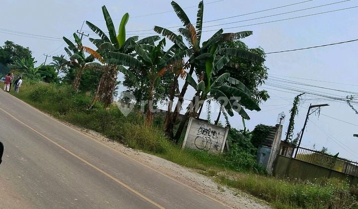 Solid Land with Fenced Perimeter Ready to Build Solid Land with Fenced Perimeter Ready to Build