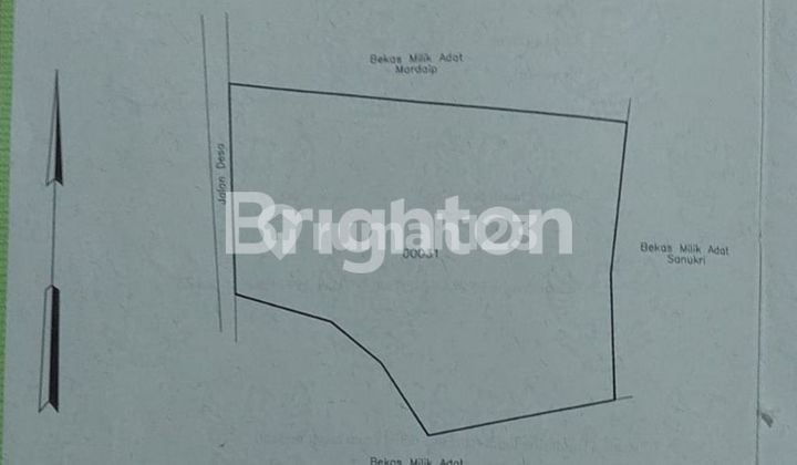 Tanah darat, rata dan siap bangun di Citeras - Rangkas Bitung Tanah darat, rata dan siap bangun di Citeras - Rangkas Bitung