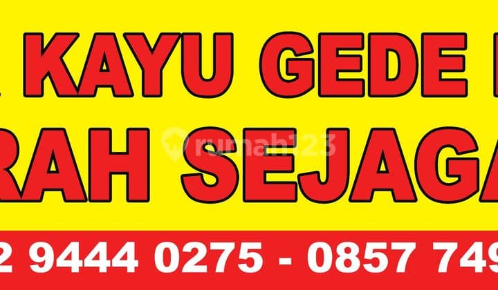 Rumah Bebas Banjir.kayu.gede Bintaro