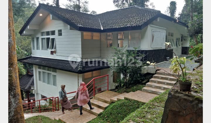 For Sale Fast Villa Megamendung - Shambala . Villa Full Furnished (004)