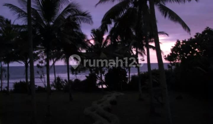 Jual Tanah DI Jembrana Bali Barat SHM 5600m2 (026)