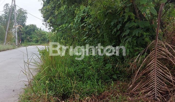 LAHAN STRATEGIS DI AREA BERKEMBANG KM 8 BALIKPAPAN UTARA