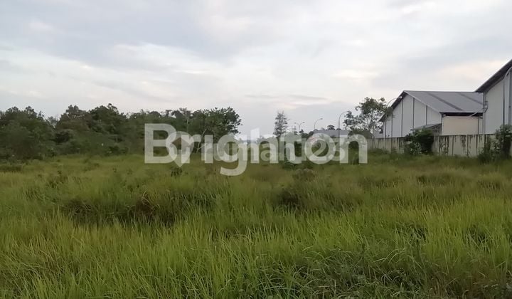 FLAT LAND IN THE KARIANGAU INDUSTRIAL AREA IS SUITABLE FOR WAREHOUSE CONSTRUCTION