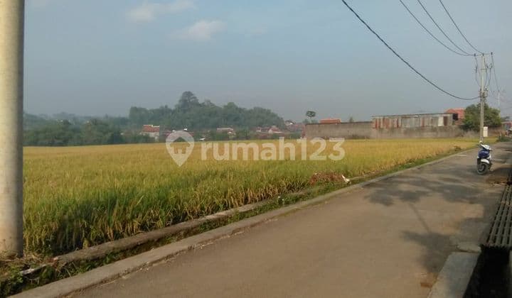 Jual Tanah Sawah Masih Aktif Jl. Curug Majalaya