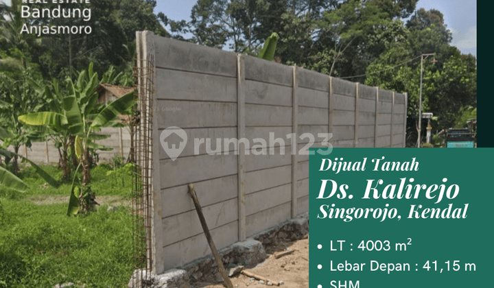 Dijual Tanah Ds. Kalirejo , Singorojo , Kendal