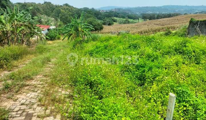 Dijual Tanah Jl. Untung Suropati