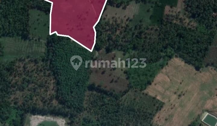 Tanah murah BU sertifikat Kalianda Lampung selatan