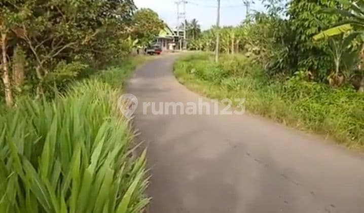 Tanah murah kontur Lavel akses mobil Kalianda lampung