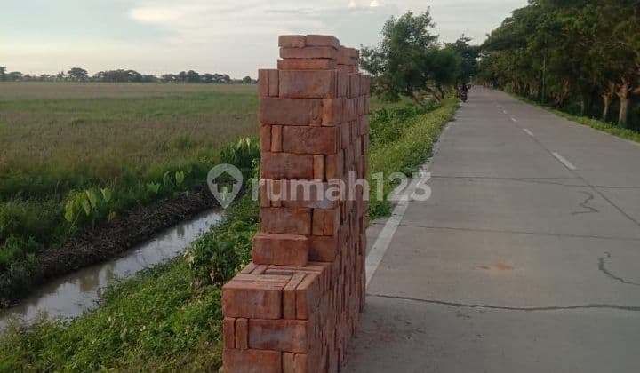 Tanah sawah murah lokasi strategis di kota serang banten