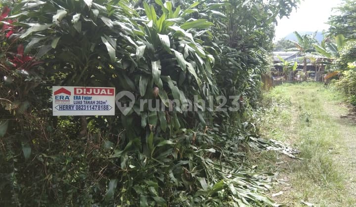 JUAL MURAH DAN CEPAT LAHAN TANAH DI CIAPUS