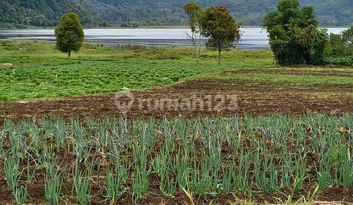 TANAH MURAH DI SULAWESI UTARA MODOINDING SINISIR DENGAN VIEW CANTIK