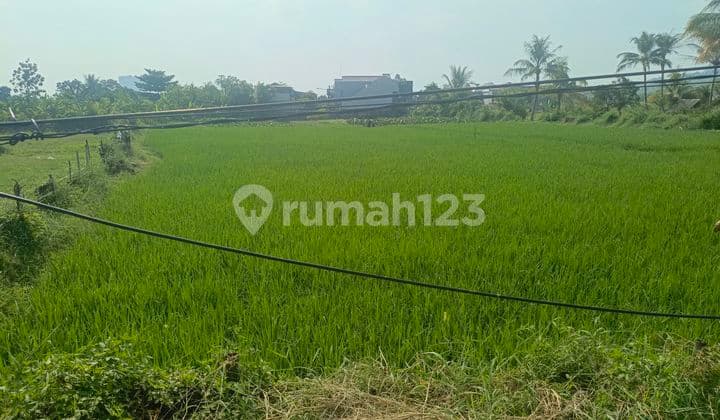 Kavling Tanah Cocok Buat Perumahan Di Griya Alam Sentul