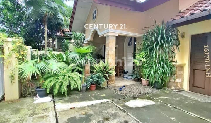 Dijual Cepat Rumah Kantung Semar Halaman Belakang Luas