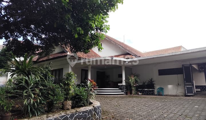 Disewakan Rumah Besar Tanah Luas Cocok Untukau Usaha Lokasi Bagus Sukajadi Bandung