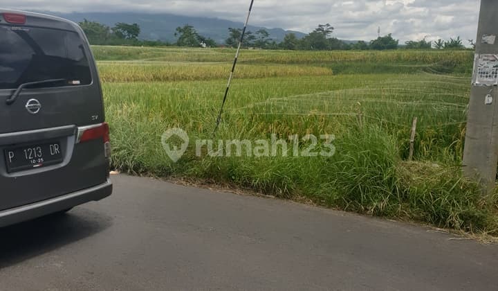 Tegalgondo Kawasan Perumahan Dan Rukost, 5.186 M2 Poros Jalan