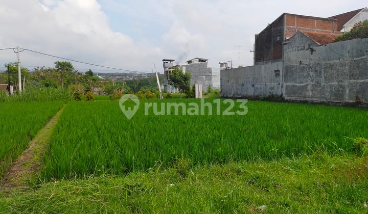 Lahan Sawah Cocok Untuk Rumah Kos di Merjosari