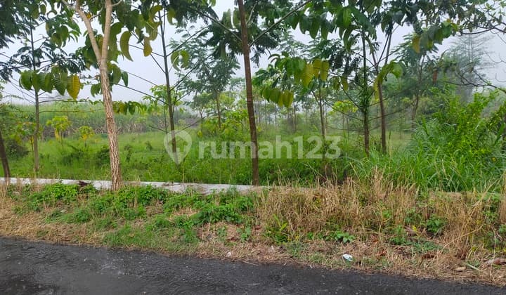 Dijual Lahan Kering di Desa Precet Dau Malang