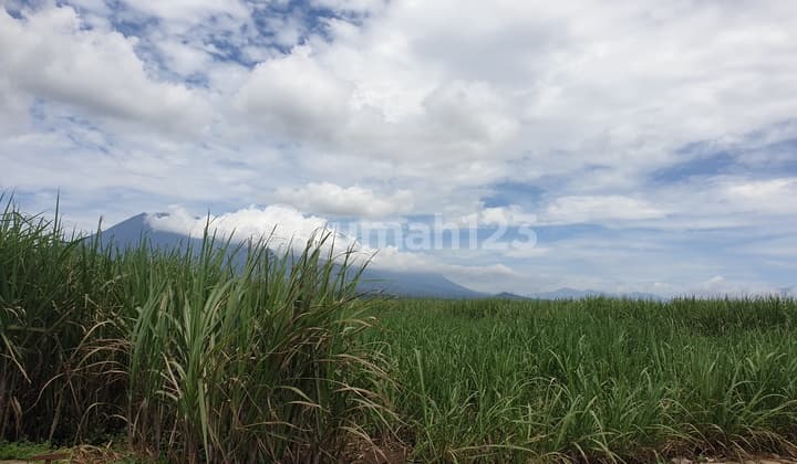 Wagir 2 Hektar 250 Ribu Per M2 Nett Kawasan Perumahan