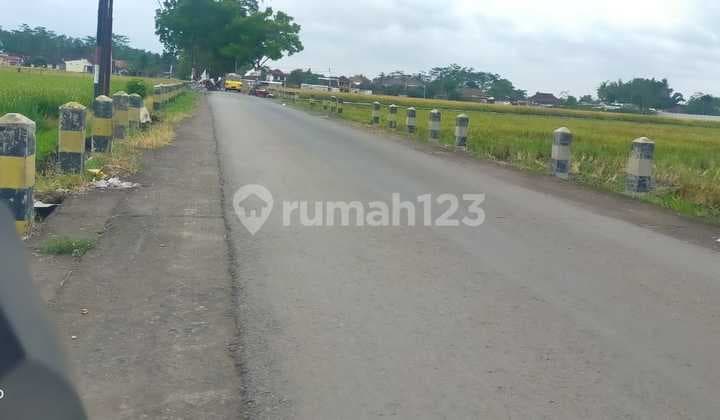 4.900 M2 Pakisaji Kabupaten Malang 1.25 Juta Per.m2