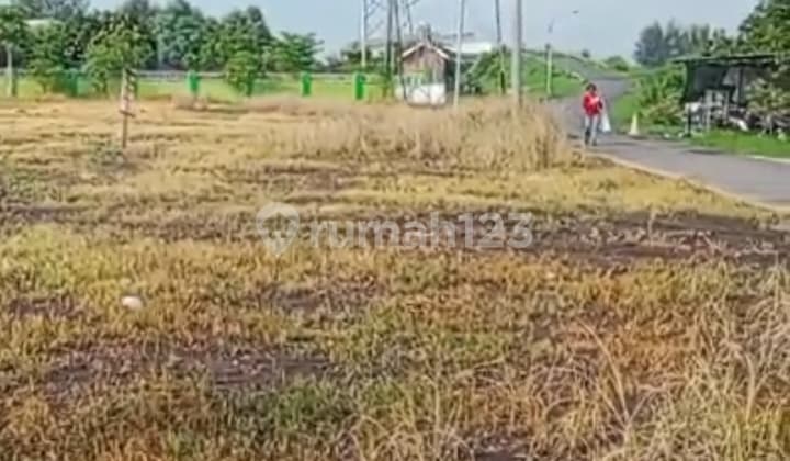 Tanah Dekat Toll Pasuruan Cocok Untuk Perumahan Dan Peruntukan Lainnya