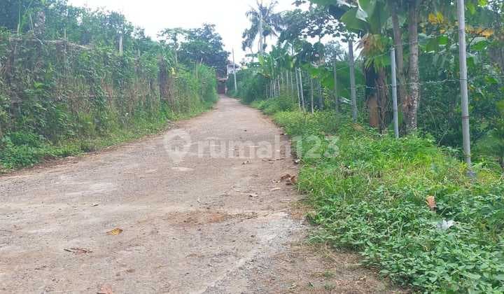 Kebun Jeruk Dekat Kampus Ub 3.039 M2 Harga 1.250.000 Per M2