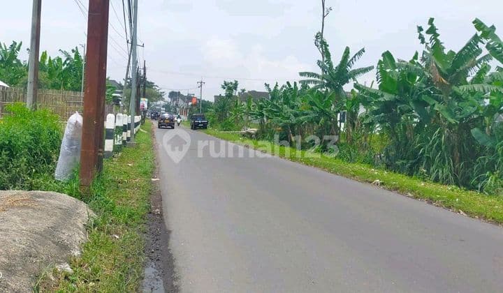 Road Axis Fern 5,000 m2 Dimension 40 X 125 Price 2.4 Million Per M2