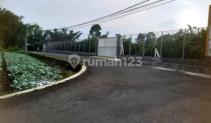 Batu , Tanah Luas 4.300 M2 Poros Jalan Zona Kuning
