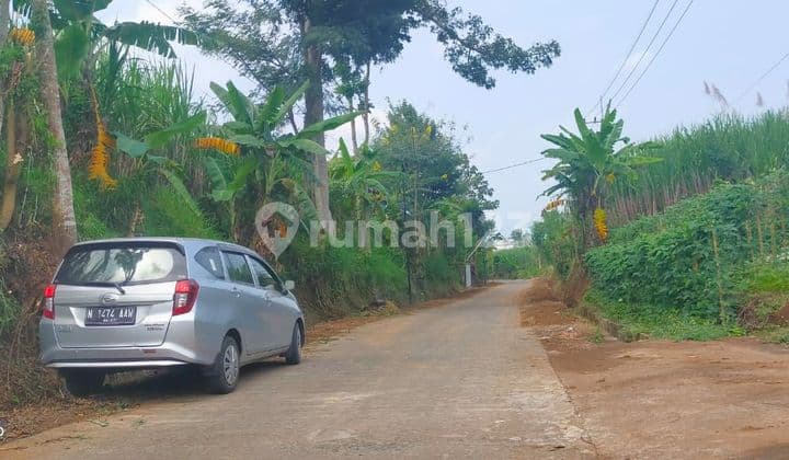 Wagir 350 Ribu/m2 Lebar Depan 15 M Cocok Untuk Perumahan