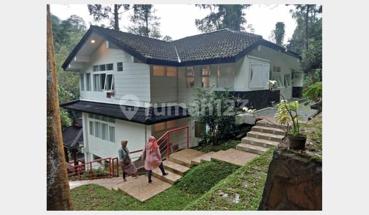 For Sale Fast Megamendung Villa - Shambala . Fully Furnished Villa