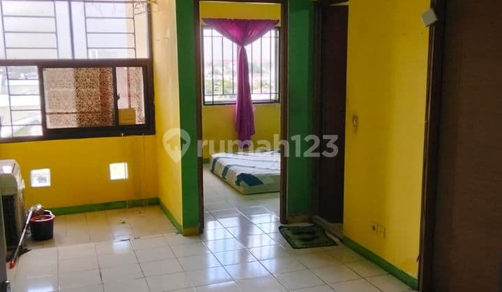 Sewa Apartemen Palm Mansion Murah