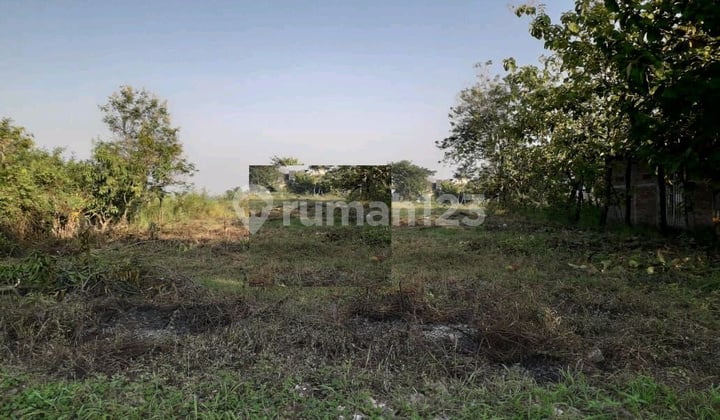 Land for Sale in Dakon Ngraseh Dander Bojonegoro Ron.a1825