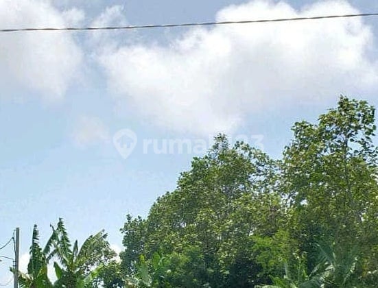 For Sale Land in Strategic Tourist Area of Batu City, Malang Ron.a130