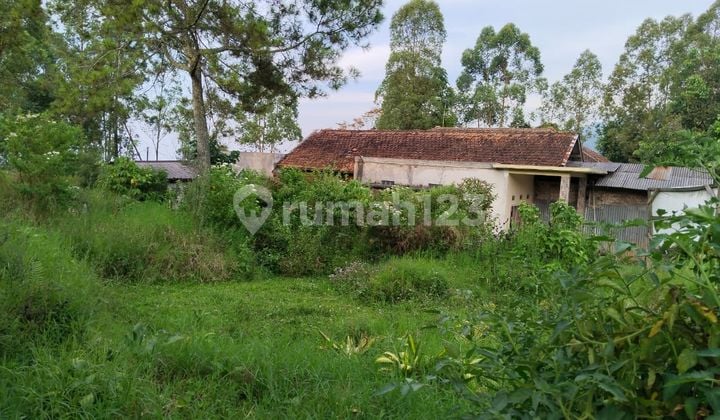 Tanah Matang Cocok Untuk Tempat Wisata - Selangkah ke Gunung Papandayan