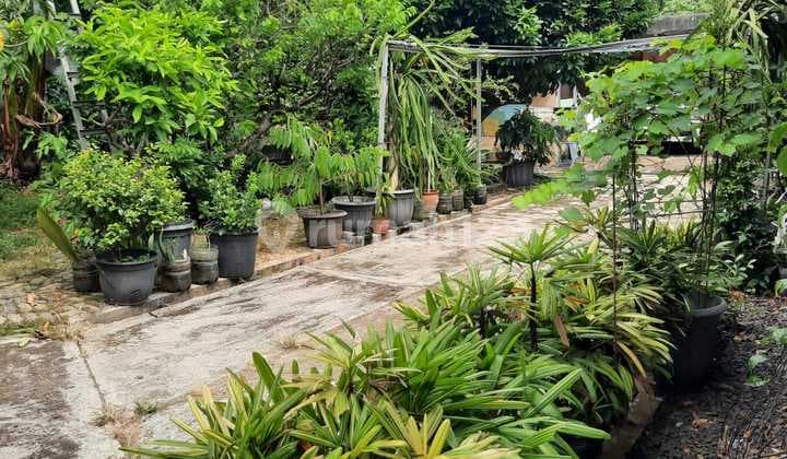 Tanah Lokasi Strategis Di Lubang Buaya