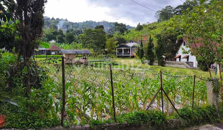 Tanah 8000M² di Bandung, Potensi Wisata & Kuliner