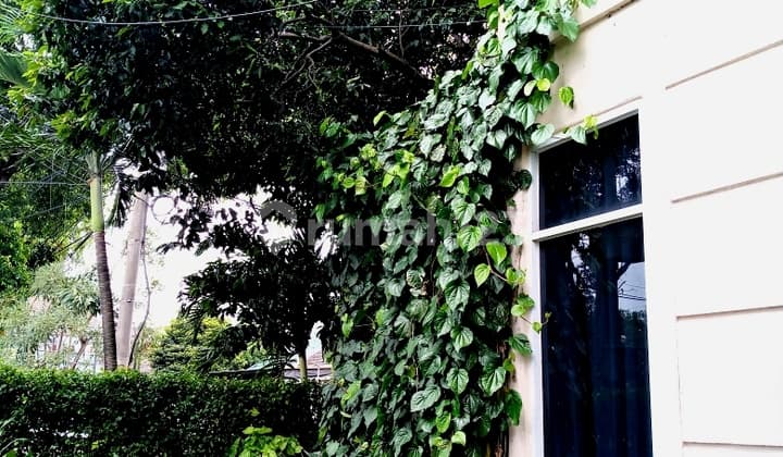 Dijual Rumah Bagus Cucur Sektor 4 Bintaro