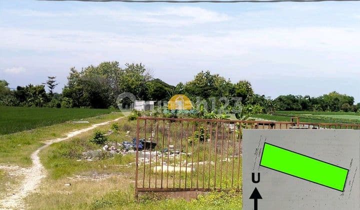 Tanah Dekat Kawasan Industri Di Kebon Agung, Purwodadi Demak