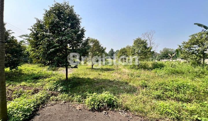 LAHAN CANTIK DI CILODONG