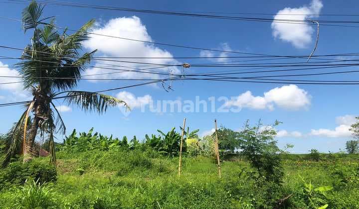 Di Jual Tanah Strategis Di Daerah Gianyar Cocok Untuk Usaha Dan Investasi