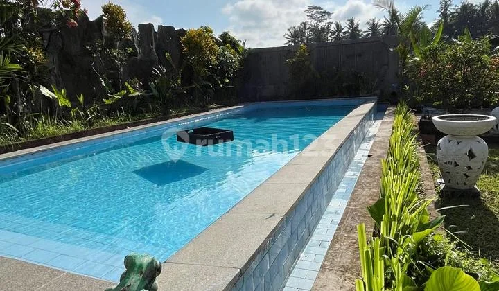Villa Luxury Premium Gaya Bali 8 Kamar - Lokasi Strategis & Potensi Investasi Tinggi. , Marga - Tabanan