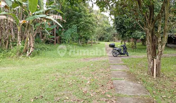 Dijual Tanah Dan Bangunan Cocok Untuk Di Bangun Villa Di Penebel, Tabanan
