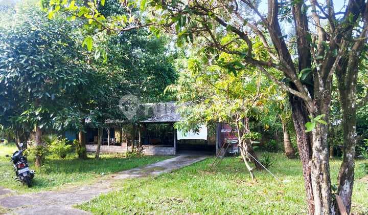 Dijual Tanah Dan Bangunan Cocok Untuk Di Bangun Villa Di Penebel, Tabanan