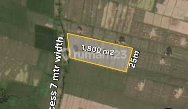 Sewa Tanah atau Sewa 18 di Pantai Kelating Tabanan