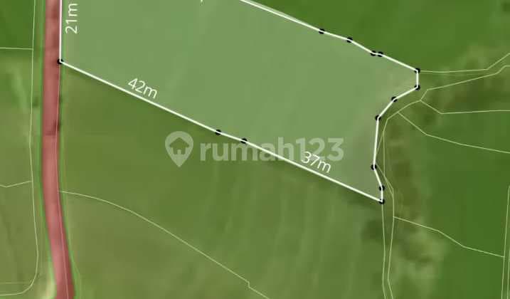 Land For Leasehold In Seseh In Quiet Area With Ricefied View