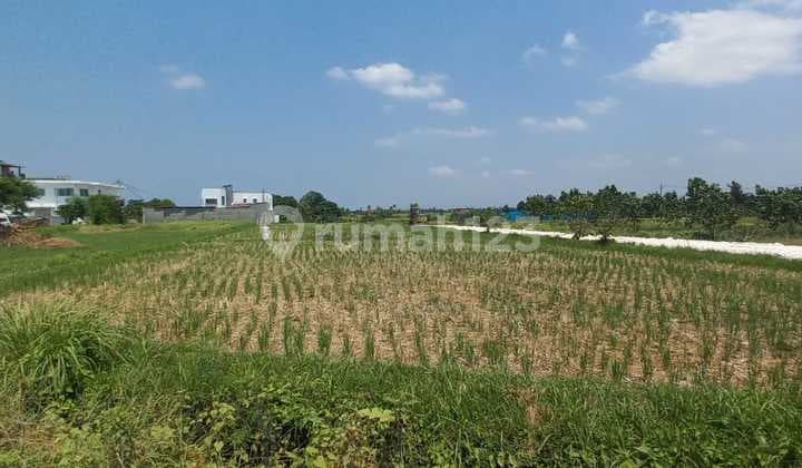 Riverside Land For Sale Freehold 35 Are In Kedungu