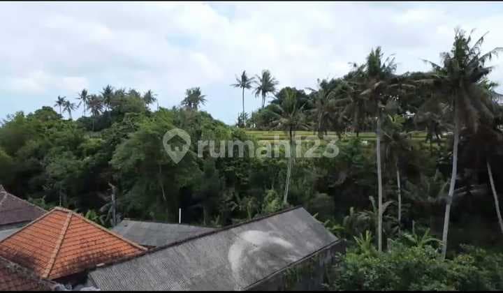 Riverside Land For Lease Or Rent 7 Are In Buduk