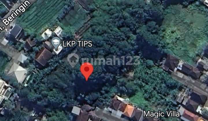 Dry Land For Lease Or Rent 2 Are In Padonan