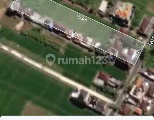 Yellow Zone Land Lease 40 Are In Buduk Area