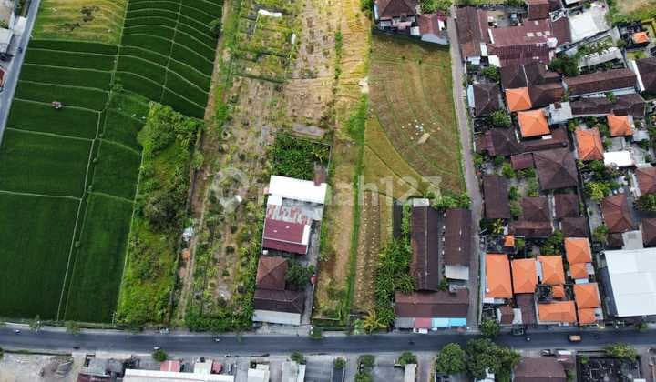 Land Lease Or Rent 4 Are In The Padonan Area